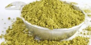 Gymnema Sylvestre Extract Powder
