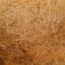 Coconut Fiber