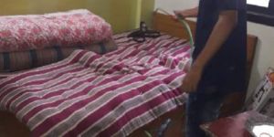 Cockroaches Pest Control Services