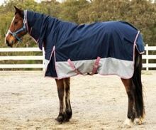 Equestrian Horse Rugs