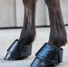Horse Riding Bell Boot