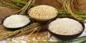 Rice Husk Powder
