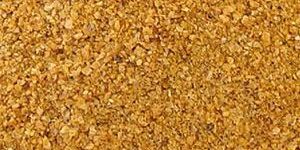 Maize DDGS