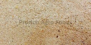 Rice Gluten