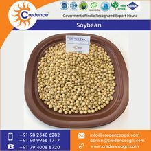 Soya Bean