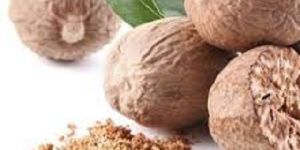 Dried Nutmeg