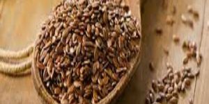 Flax Seeds