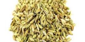 Organic Fennel Seeds