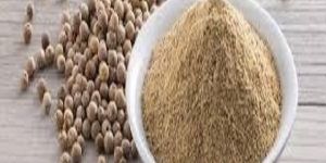 White Pepper Powder