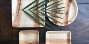 Bio Degradable Leaf Plates