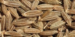 Cumin Seeds
