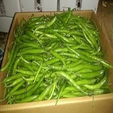 Hot Green Chillies