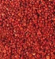 Gloriosa Superba Seed