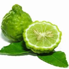 Bergamot Hydrosol