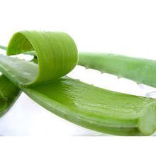 Organic Aloe Vera Gel