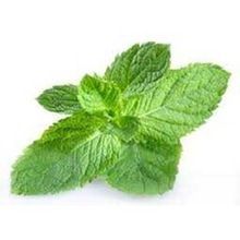 Peppermint Oil