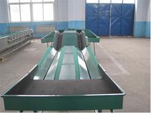 Double Lane Automatic Feeding Fruit Grading Machine