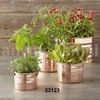 COPPER GARDEN POT