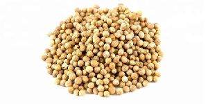 Coriander Seeds