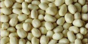 Raw Blanched Peanut