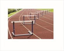 Agility Hurdles