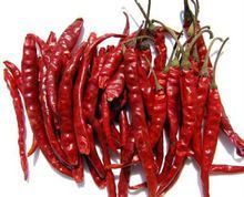 Red Chilli
