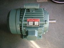 220v Induction Motor
