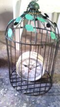 Metal Wall Clock with Bird Cage
