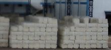 Cotton Bale