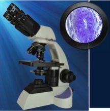 Pathology Microscope