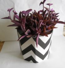Planter