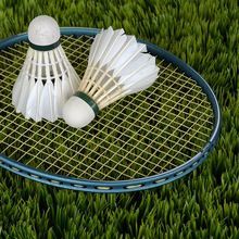 Light Weight Badminton