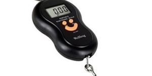 Portable Hand Digital Hanging Scale