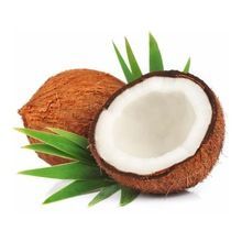 Coconut Oil