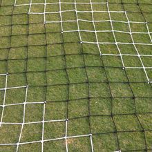 Dual Color Soccer Net
