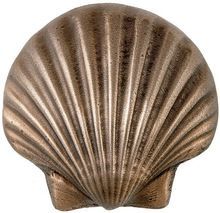 Natural Sea Shell