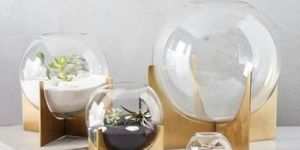Terrarium Globe