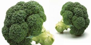 Conventional Broccoli Seed Oil