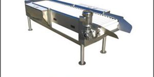 Inspection Conveyor
