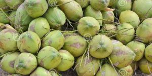 Raw Coconut