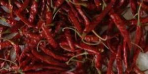Teja Stem Dry Red Chilli