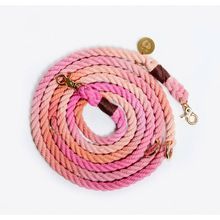 Pastel Dog Leads