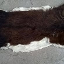 Real Goat Skin