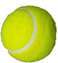 Cricket Tennis Ball
