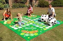 Ludo Mat