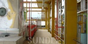 Canola Seed Oil Extraction Plants