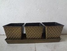 HERB PLANTER POTS TRAY SET