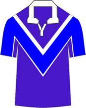 Polyester Cricket Uniforms