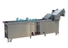 Vegetables Washing Machine