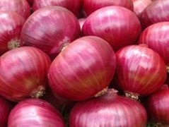 Red Onions